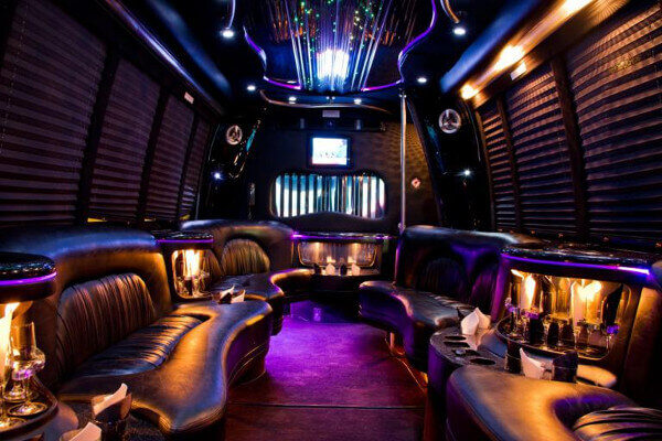 15 Person Party Bus Rental Orlando